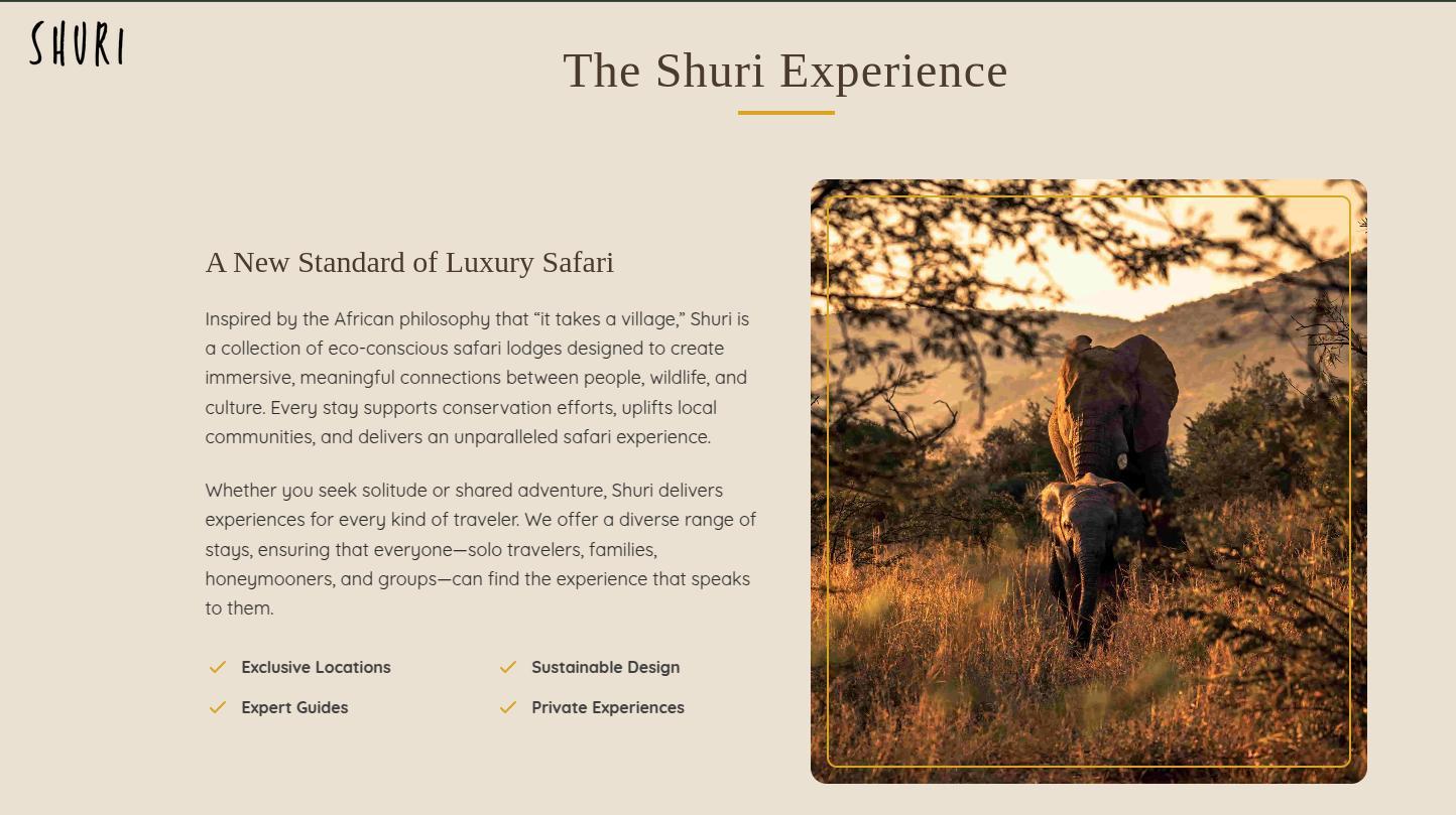 Shuri investor pitch deck